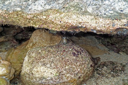 "The Party Make Up" ©2013 Jimmie Olsson